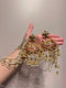 Chandbali earrings sahara