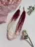 Elegant Ombré Seed Bead Necklace